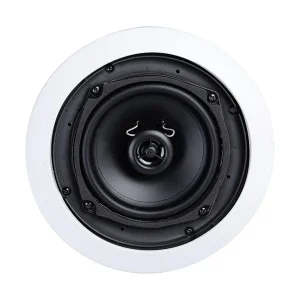 اسپیکر سقفی تروی مدل XX-B0BLP8BL7Z-666
