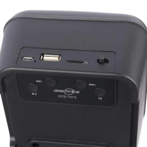 اسپیکر قابل حمل گریت نایس مدل GTS-1373