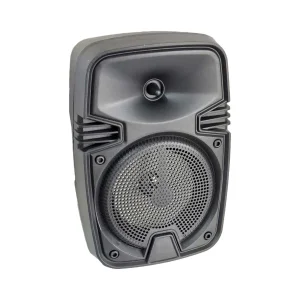 اسپیکر بلوتوثی ساینگ مدل ZQs1461s