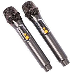 اسپیکر بلوتوثی قابل حمل مدل Brodu BTS 2253