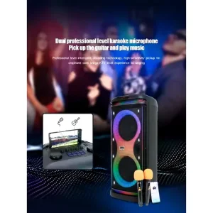 اسپیکر بلوتوثی قابل حمل برودو مدل BTS-2100