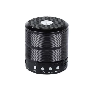 اسپیکر بلوتوثی قابل حمل مدل WS-887