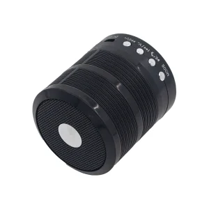 اسپیکر بلوتوثی قابل حمل مدل WS-887