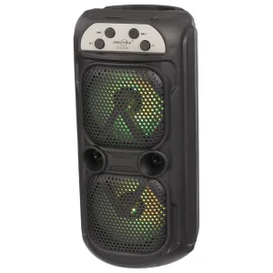 اسپیکر بلوتوثی قابل حمل گریت نایس مدل GTS-2165