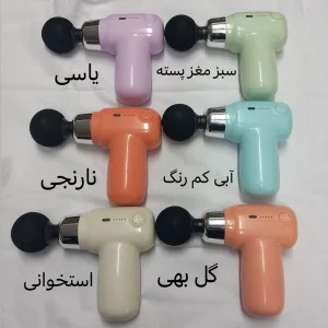 ماساژور برقی مدل CY - 007.84