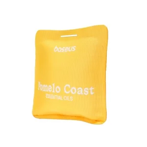 خوشبوکننده خودرو بیسوس مدل  Pomelo Coast BS-CX013