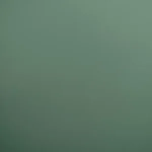 چمدان دلسی مدل TURENNE SOFT کد 1632831 سایز خیلی بزرگ ارتفاع 83 سانتی متر