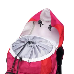 کوله پشتی ورزشی دلسی مدل NOMADE کد 3335612