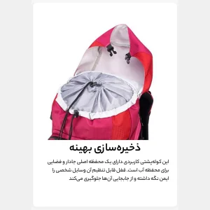 کوله پشتی ورزشی دلسی مدل NOMADE کد 3335612