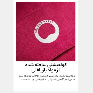 کوله پشتی ورزشی دلسی مدل NOMADE کد 3335612