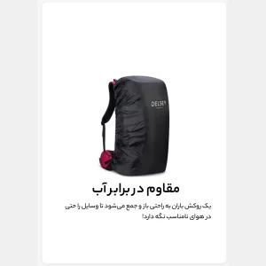 کوله پشتی ورزشی دلسی مدل NOMADE کد 3335612
