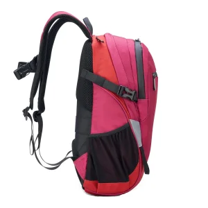 کوله پشتی دلسی مدل NOMADE کد 3335610