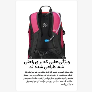 کوله پشتی دلسی مدل NOMADE کد 3335610