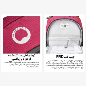 کوله پشتی دلسی مدل NOMADE کد 3335610