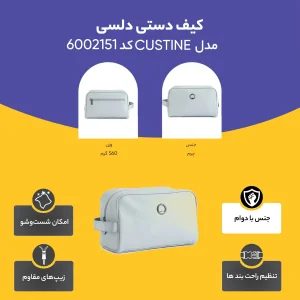 کیف دستی دلسی مدل CUSTINE کد 6002151