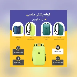 کوله پشتی دلسی مدل سکورین کد 1020610