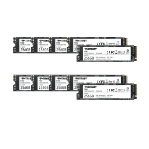 اس اس دی اینترنال پتریوت مدل P300 ظرفیت 256 گیگابایت