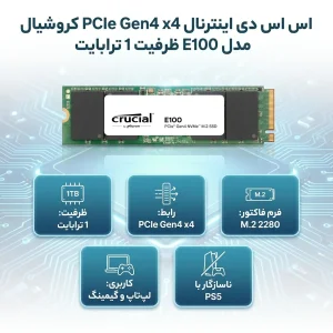 اس اس دی اینترنال PCIe Gen4 x4 کروشیال مدل E100 ظرفیت 1 ترابایت