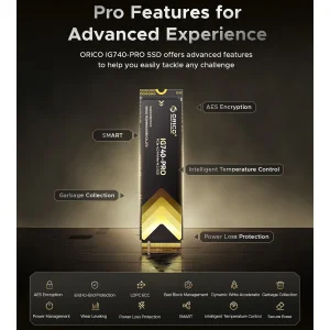 اس اس دی اینترنال PCIe Gen4 x4 اوریکو مدل IG740PRO-1TB ظرفیت 1 ترابایت