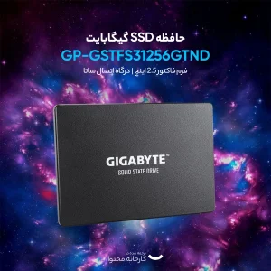 اس اس دی اینترنال گیگابایت مدل GP-GSTFS31256GTND ظرفیت 256 گیگابایت