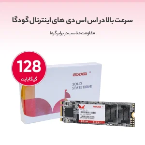 اس اس دی اینترنال گودگا مدل M.2_2280 ظرفیت 128 گیگابایت