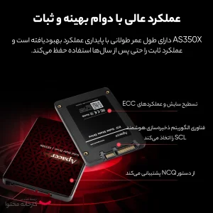اس اس دی اینترنال اپیسر مدل AS350 PANTHER ظرفیت 256 گیگابایت