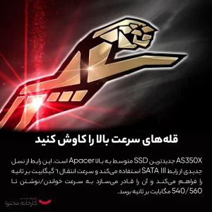 اس اس دی اینترنال اپیسر مدل AS350 PANTHER ظرفیت 256 گیگابایت