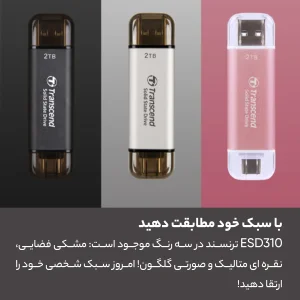 حافظه‌ی SSD اکسترنال ترنسند مدل ESD310C ظرفیت 1 ترابایت