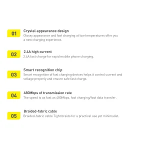 کابل تبدیل USB به لایتنینگ باسئوس مدل CAJY0001 طول 2 متر