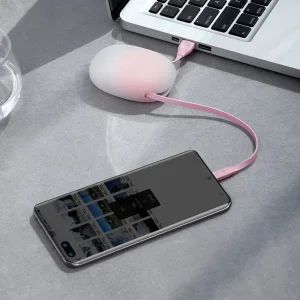 کابل تبدیل USB به USB-C باسئوس مدل CATRN_24 طول 1 متر