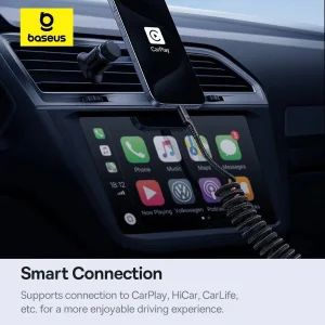 کابل تبدیل USB-C بیسوس مدل Fish-Eye 100W طول 1 متر