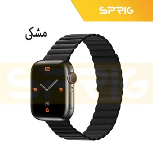 بند اسپریگ مدل magnetic silicon dual color مناسب برای اپل واچ Series 8 Aluminum 45mm / Series 7 Aluminum 45mm