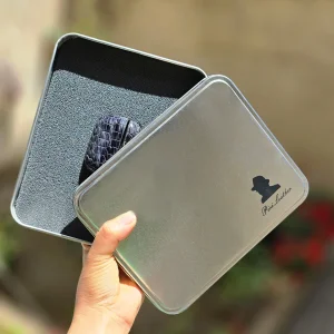 کاور صنایع چرم پیری مدل PL13 مناسب برای کیس اپل AirPods Pro 3 به همراه قلاب