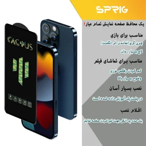 محافظ لنز دوربین اسپریگ مدل 3D-Cactus مناسب برای گوشی موبایل شیائومی Poco X5 5G به همراه محافظ صفحه نمایش