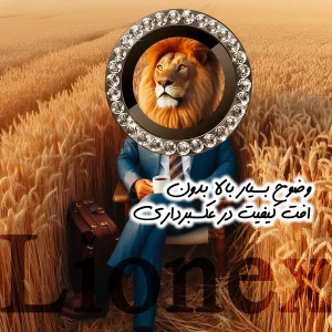 محافظ لنز دوربین شیشه‌ای لایونکس مدل NRIL20 مناسب برای گوشی موبایل شیائومی Poco M7 Pro 5G