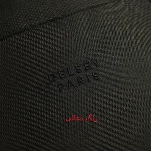 کوله پشتی لپ تاپ دلسی مدل ESPLANADE کد 394260350 مناسب برای لپ تاپ  تا 15.6 اینچی