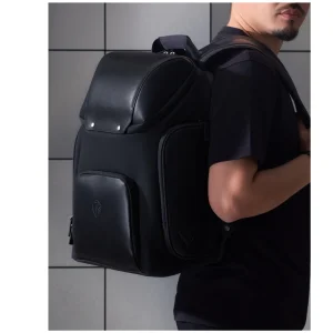 کوله پشتی لپ تاپ دلسی مدل PEUGEOT کد 1006600 مناسب برای لپ تاپ تا 15.6 اینچی