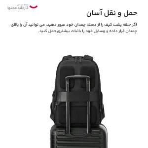 کوله پشتی لپ تاپ دلسی مدل WAGRAM کد 1199610 مناسب برای لپ تاپ 15 تا 17 اینچی