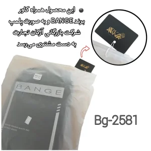 کوله پشتی لپ تاپ بنج مدل DSH 2581 مناسب برای لپ تاپ‌های 15.6 اینچ