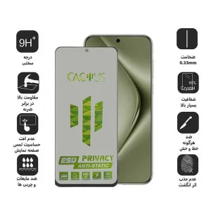محافظ صفحه نمایش حریم شخصی اپیکوی مدل Cactus-ESD-Privacy مناسب برای گوشی موبایل هوآوی Pura 70 Pro/ Pura 70 Ultra / Nova 12S/ Nova 12i