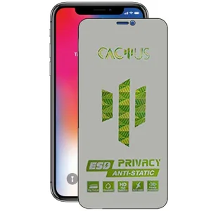 محافظ صفحه نمایش حریم شخصی اپیکوی مدل Cactus-ESD-Privacy مناسب برای گوشی موبایل اپل iPhone 11 Pro / Xs / X