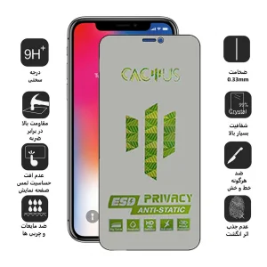 محافظ صفحه نمایش حریم شخصی اپیکوی مدل Cactus-ESD-Privacy مناسب برای گوشی موبایل اپل iPhone 11 Pro Max / XS Max