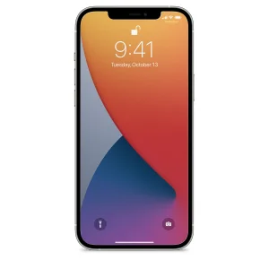 محافظ صفحه نمایش اپیکوی مدل Cactus مناسب برای گوشی موبایل اپل iPhone 12 Pro Max