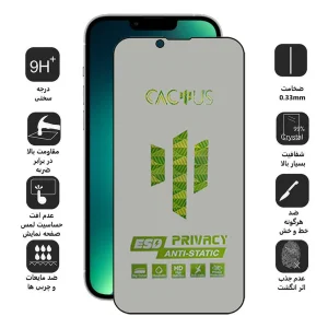 محافظ صفحه نمایش حریم شخصی اپیکوی مدل Cactus-ESD-Privacy مناسب برای گوشی موبایل اپل iPhone 16e/14/13 Pro/ 13