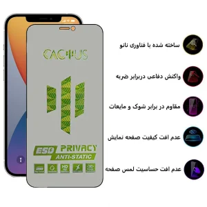 محافظ صفحه نمایش حریم شخصی اپیکوی مدل Cactus-ESD-Privacy مناسب برای گوشی موبایل اپل iPhone 12 Pro / 12