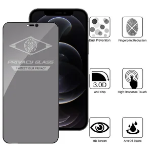 محافظ صفحه نمایش حریم شخصی اپیکوی مدل PvSight مناسب برای گوشی موبایل اپل iPhone 12 / 12 Pro