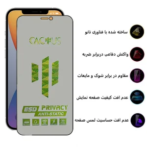 محافظ صفحه نمایش حریم شخصی اپیکوی مدل Cactus-ESD-Privacy مناسب برای گوشی موبایل اپل iPhone 12 Pro Max