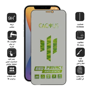 محافظ صفحه نمایش حریم شخصی اپیکوی مدل Cactus-ESD-Privacy مناسب برای گوشی موبایل اپل iPhone 12 Pro Max