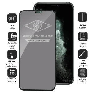 محافظ صفحه نمایش حریم شخصی اپیکوی مدل PvSight مناسب برای گوشی موبایل اپل iPhone 11 Pro / XS / X