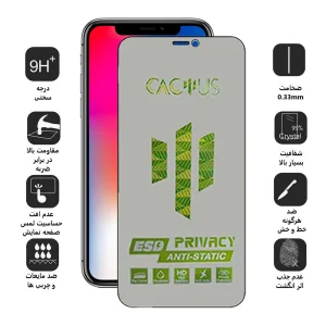 محافظ صفحه نمایش حریم شخصی اپیکوی مدل Cactus-ESD-Privacy مناسب برای گوشی موبایل اپل iPhone Xs/ X